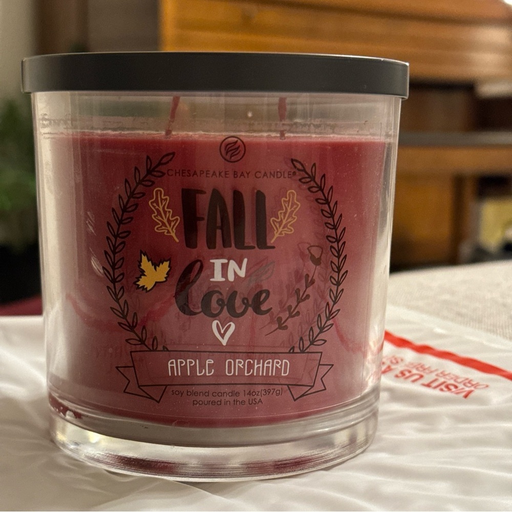 Chesapeake Bay 2 Wick Candle FALL IN LOVE APPLE ORCHARD NEW AS IS